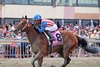 Stradale with Jose Ortiz riding won the $400,000 Grade II Gallant Bob Stakes at Parx Racing in Bensalem, PA on Saturday September 19, 2026. Photo by Ryan Denver/EQUI-PHOTO.