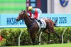 Ka Ying Rising smashes Sha Tin’s 1200m course record with a 21st consecutive victory