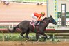 Imperial Honor - MSW - DMR - 090726