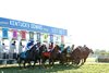 Stellify wins the 2026 Kentucky Downs Ladies Marathon Invitational Stakes at Kentucky Downs