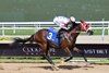 Sum of Success wins the 2026 Express Tour Stakes at Gulfstream Park