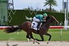 Reza, Maiden Win, September 19 2026, Gulfstream Park
First winner for Tale of Silence