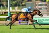 Atitlan wins the 2026 John Henry Turf Championship Stakes at Santa Anita Park