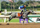 Forged Steel and jockey Edwin Gonzalez win the Grade I $300,000 Goodwood Stakes Saturday, September 26, 2026 at Santa Anita Park, Arcadia, CA.
Benoit Photo