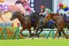 Puro Magic (inside) wins the Sprinters Stakes over World's End (middle) and Sound Moryana at Nakayama Racecourse
