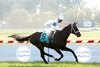 Kentucky Belle wins the 2026 Dueling Grounds Oaks Invitational Stakes at Kentucky Downs