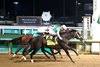 Conceit wins the 2026 Dogwood Stakes at Churchill Downs