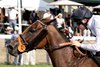 Tiffany (IRE) wins the 2026 Kentucky Turf Cup Invitational Stakes at Kentucky Downs