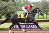 D I Wire wins the 2026 Aspirant Stakes