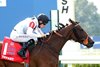 Tiffany (IRE) wins the 2026 Kentucky Turf Cup Invitational Stakes at Kentucky Downs