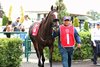Gimme a Nother (SAF) wins the 2026 E. P. Taylor Stakes at Woodbine