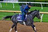 Chunk of Gold - Gallop - KEE - 102426