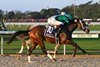Mom's On Break, Maiden Win, October 16 2026, Belmont Park