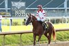 Jas wins the 2026 Street Sense Stakes at Churchill Downs