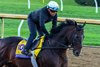 Sovereignty - Gallop - KEE - 102426
