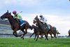 Kathynmarissa wins the 2026 Flower Bowl Stakes at Belmont Park