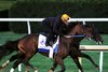 Magnitude - Work - Keeneland - 10-17-26 