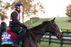 Johanna Walsh - Gallop - Keeneland Race Course - 102926