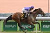 Nevada, Maiden Win, October 16 2026, Belmont Park