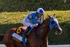 Joe Shiesty wins the 2026 Woodford Stakes at Keeneland