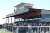 Scene - Eureka Downs - 101726