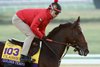 Golden Tempo - Gallop - Keeneland Race Course - 102726