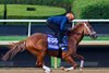 Further Ado
Breeders’ Cup contenders and training scenes at Keeneland in Lexington, Ky., on Oct. 28, 2026.