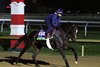 Deterministic - Gallop - Keeneland - 10-27-26