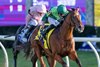 Haffner with Ryan Moore wins the Grade 1 Breeders’ Cup Juvenile Turf at Keeneland Racecourse in Lexington, KY on October 30, 2026.