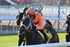 Ground Support wins the 2026 Glen Cove Stakes at Belmont Park