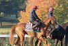 Benvenuto Cellini - Gallop - Keeneland Race Course - 102726