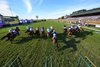 Horses and jockeys shoot out of the gate during the Grade 1 Breeders Cup Juvenile Turf Sprint, at Keeneland Racecourse in Lexington, KY on October 30,2026.
