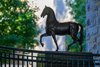 Breeders' Cup ecorche statue near the paddock.
Morning training at Keeneland
in Lexington, Ky. on Oct. 20, 2026.