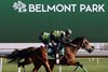 Rum Twist, October 22 2026, Belmont Park