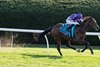 Sun Goddess with Ryan Moore wins the Grade 1 Breeders’ Cup Juvenile Fillies Turf at Keeneland Racecourse in Lexington, KY on October 30, 2026.