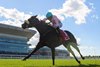 Brickyard Belle wins the 2026 Matron Stakes at Belmont Park