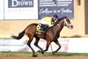 Mister Omaha wins the 2026 Oklahoma Classics Cup Handicap at Remington Park