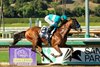 Hughes and jockey Juan Hernandez win the Grade I, $300,000 American Pharoah Stakes, Saturday, October 3, 2026 at Santa Anita Park, Arcadia CA.
© BENOIT PHOTO