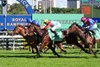 Tempted wins the 2026 The Everest over Ka Ying Rising at Royal Randwick Racecourse
