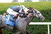 Time to Dazzle wins The Franklin at Keeneland, October 11, 2026