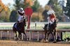 Emphatic (Tyler Gaffalione) wins the Juvenile Fillies
Keeneland 30.10.26 Pic: Edward Whitaker