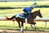 Notable Speech - Gallop - Keeneland Race Course - 10-29-26
