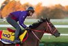 Forever Young-Morning works 10.25.2026 at Keeneland Racecourse for Breeders' Cup.