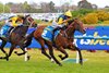 Warwoven wins the 2026 Caulfield Guineas at Caulfield Racecourse
ridden by Rachel King and Trained by Bjorn Baker