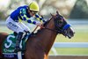 Hughes with Flavien Prat on the final turn to winning the Grade 1 Breeders’ Cup Juvenile at Keeneland Racecourse in Lexington, KY on October 30, 2026.