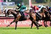 Daryz (Mikael Barzalona) wins the Arc
Longchamp 4.10.26 Pic: Edward Whitaker