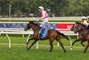 Global Goal wins the 2026 Flight Stakes at Randwick Racecourse