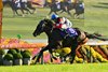 Monroe Walk wins the 2026 Shuka Sho at Kyoto Racecourse
