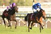 Arabian Crown (FR) wins the 2026 Canadian International Stakes at Woodbine