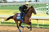 Hughes - Gallop - Keeneland Race Course - 102926